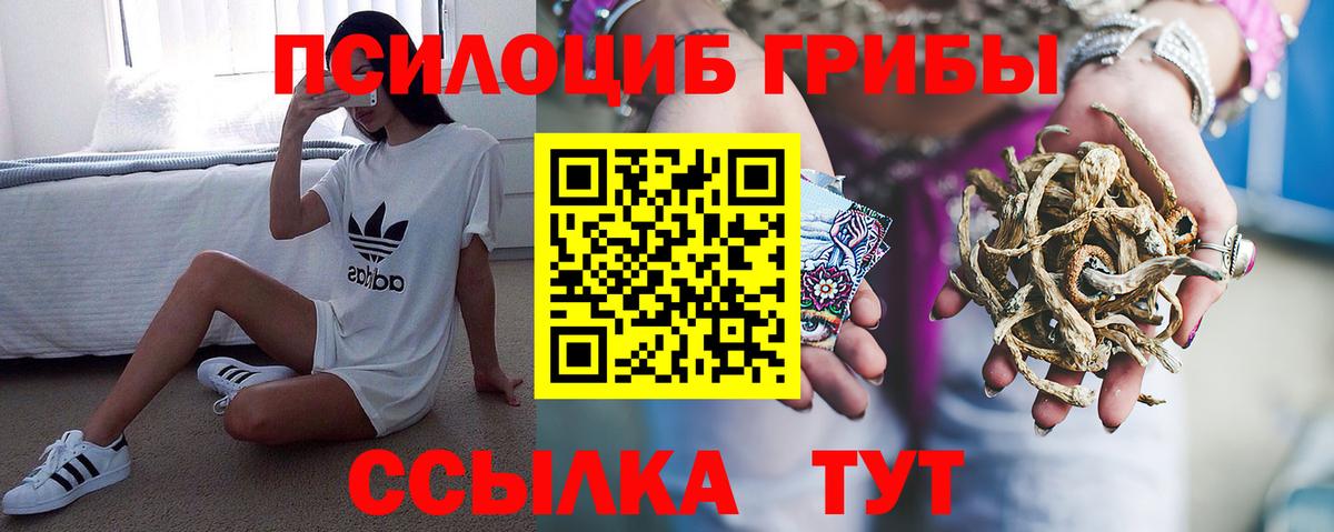 Псилоцибиновые грибы Cubensis Рассказово