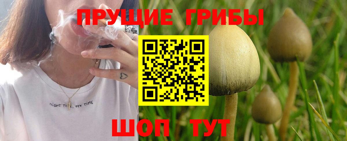 магазин продажи наркотиков  Галлюциногенные грибы Magic Shrooms  Рассказово  Вход с VPN  Псилоцибиновые грибы ЛСД 